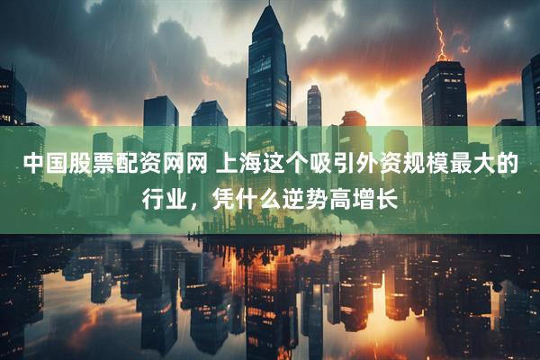 中国股票配资网网 上海这个吸引外资规模最大的行业，凭什么逆势高增长
