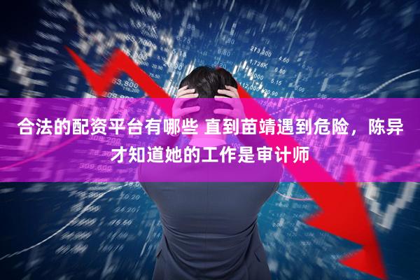 合法的配资平台有哪些 直到苗靖遇到危险，陈异才知道她的工作是审计师